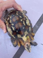 IMG_6870.jpeg