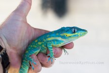 IMG_9220-scaled.jpg