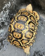 IMG_1439.jpeg