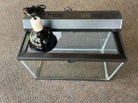 Terrarium-2.jpg