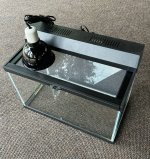 Terrarium-3.jpg