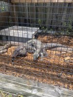 IMG_2482.jpeg