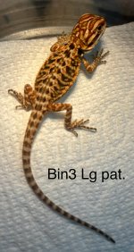IMG_0083.jpeg