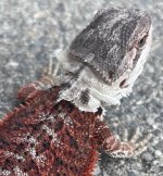 IMG_7791.jpeg