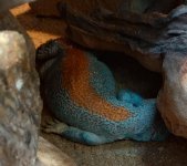 Messenger_creation_d4bdb239-6e64-4f63-a863-81ab2bbbf88c.jpeg