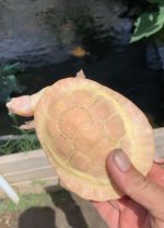 IMG_2675.jpeg