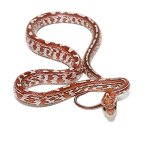 ug_tessera_het_palmetto_blood_cornsnake_2.jpg