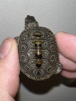 IMG_1402.jpeg
