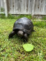 IMG_0473.jpeg