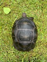 IMG_0471.jpeg