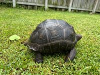 IMG_0475.jpeg