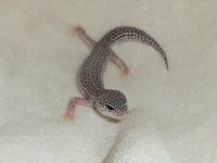 DSCF5981.jpg