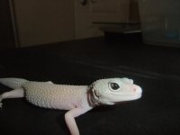 DSCF6006.jpg