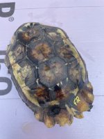 IMG_6858.jpeg