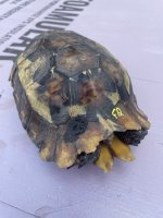 IMG_6860.jpeg