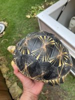 thumbnail_IMG_9482.jpg