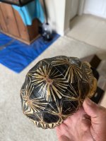 thumbnail_IMG_9478.jpg