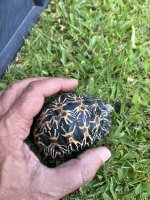 thumbnail_IMG_0511.jpg