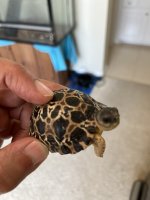 thumbnail_IMG_0513.jpg