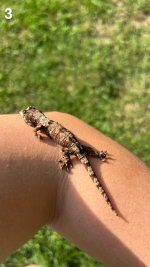 IMG_0295.jpeg