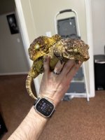 IMG_6540.jpeg