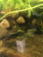 IMG_2802.jpeg