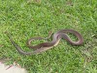 IMG_6837.jpeg