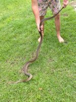 IMG_6844.jpeg