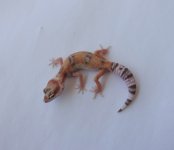 DSC01574.JPG