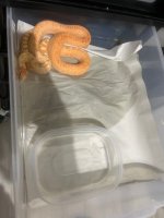 IMG_1612.jpeg