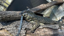 IMG_1409.JPG