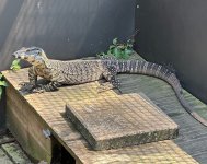 IMG_1391.jpg