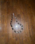 IMG_3658.jpeg