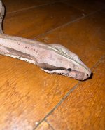IMG_3656.jpeg