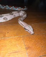 IMG_3657.jpeg