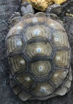 IMG_1555.jpeg