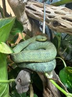 IMG_6930.jpeg