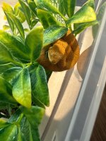 IMG_6934.jpeg