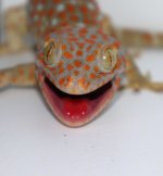 IMG_2724.JPG