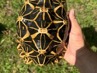 IMG_0260.jpeg
