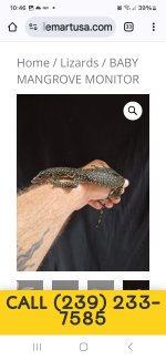 Screenshot_20240922_224652_Chrome.jpg