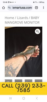 Screenshot_20240922_224659_Chrome.jpg
