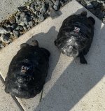 IMG_2199.jpeg