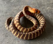 WOMA14F02 092324.JPG