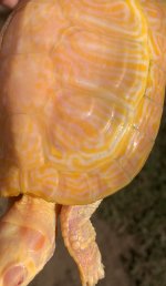 IMG_0172.jpeg