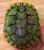 6F3B00E8-7355-49E6-86E8-10F94AE1AE73.jpeg