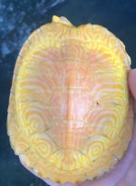 IMG_0074.jpeg