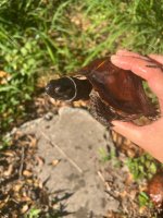 IMG_0769.jpeg