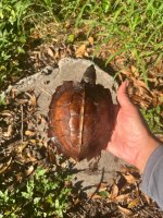 IMG_0767.jpeg
