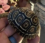 IMG_1789.jpeg